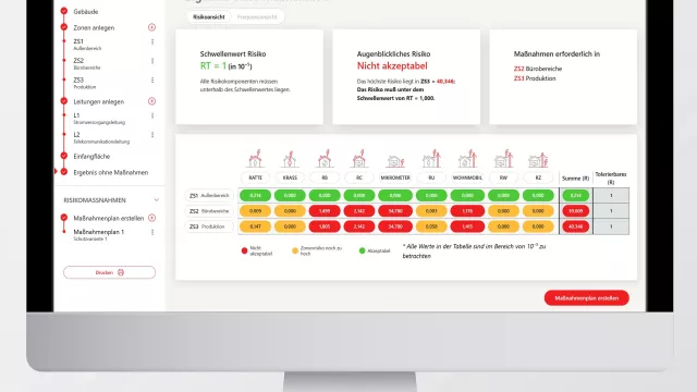 A computer screen shows the user interface of the DEHNrisk tool.
